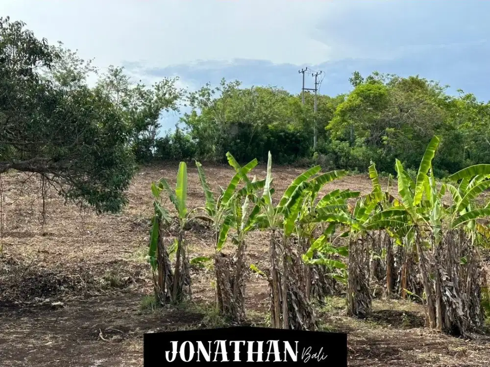 Dijual – Lahan di Jalan Utama Belimbing Sari, Pecatu - LSVI