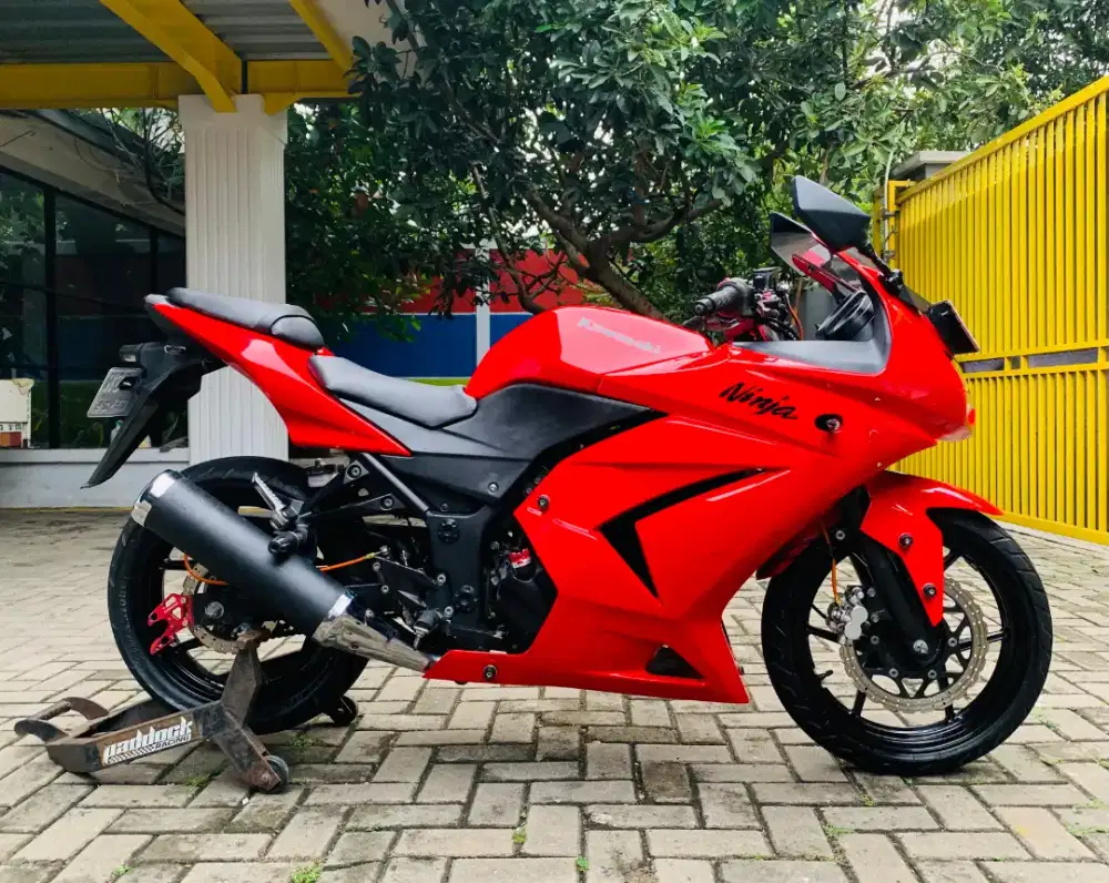 Kawasaki NINJA 250 KARBU