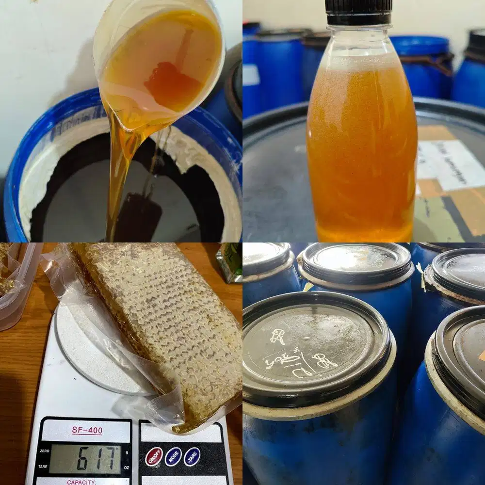 AGEN JUAL MADU NGANJUK ASLI MURNI, Grosir Murah