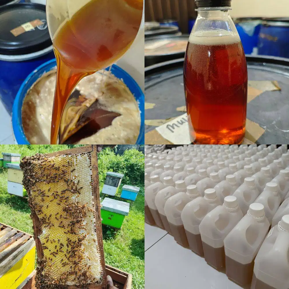 AGEN JUAL MADU PROBOLINGGO ASLI MURNI, Grosir Murah