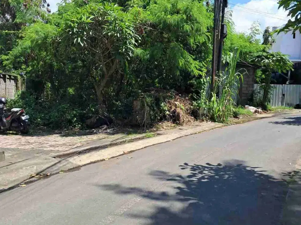 Jual Tanah 3 Are di Batubulan Pasekan