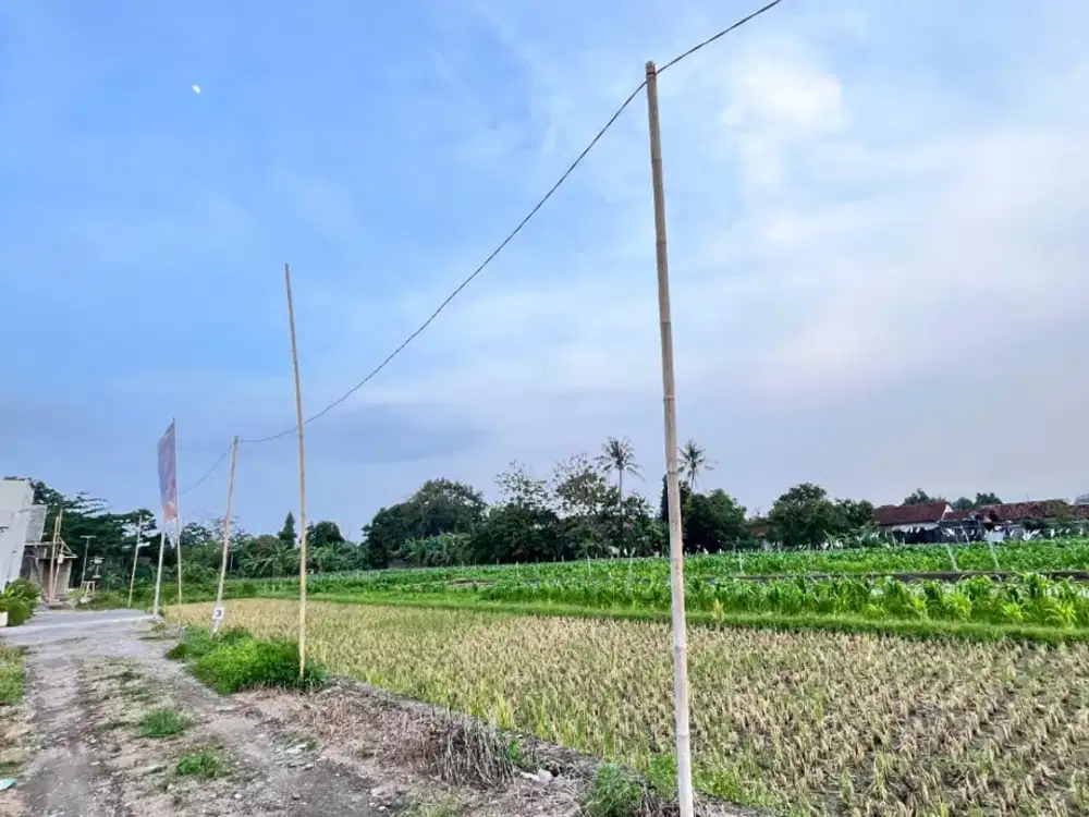 Tanah Murah Dalam Ringroad Cocok Untuk Kavling Dekat Adi Sucipto