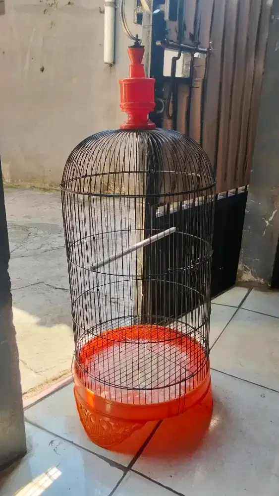 Kandang love bird