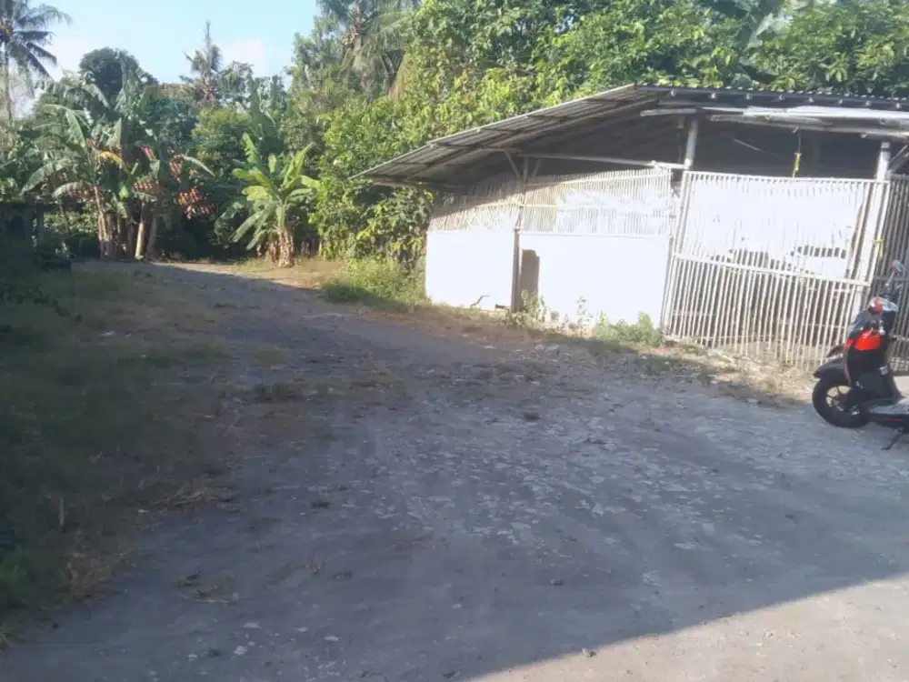 Tanah Sawah Strategis dan Prospektif di Bantul Kota #Kode : TS 009