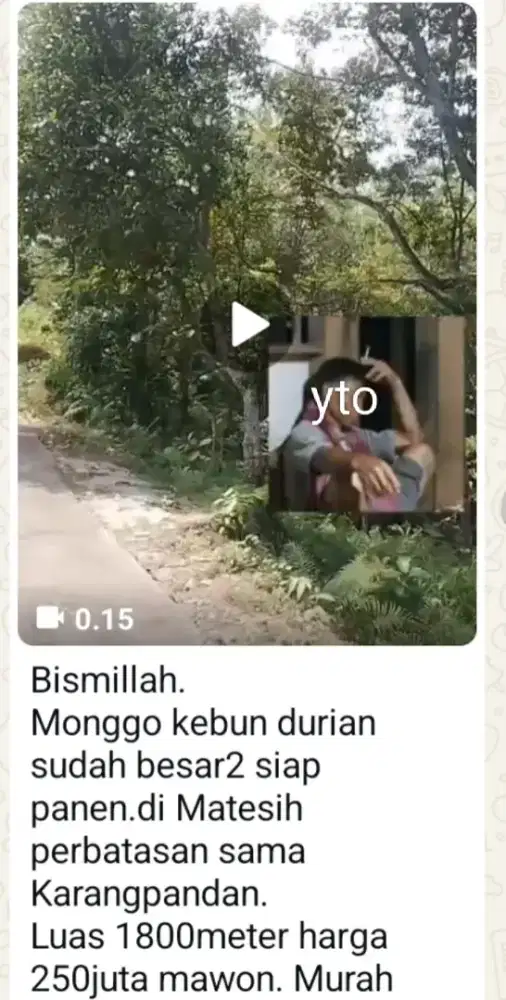 Jual kebun durian lokasi mateseh lt 1800mtr harga 250jt nego