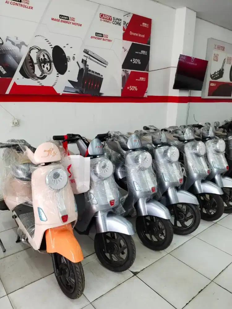 SEPEDA LISTRIK TYPE T60
