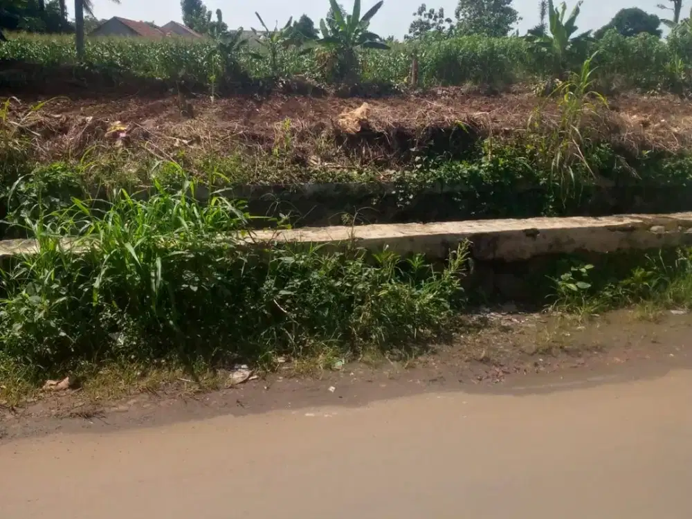 Tanah kavling Bogor harga mulai dari 2jtan/m2