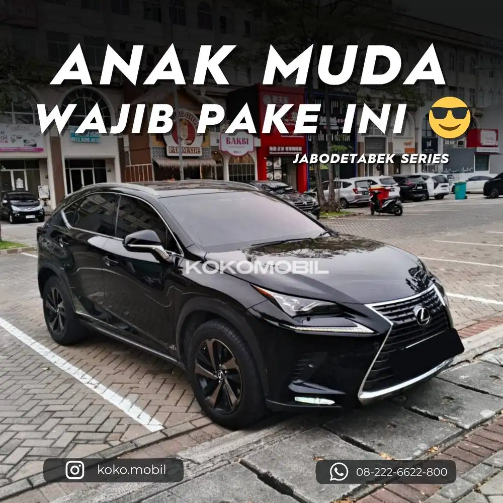 LEXUS NX300 LUXURY 2017