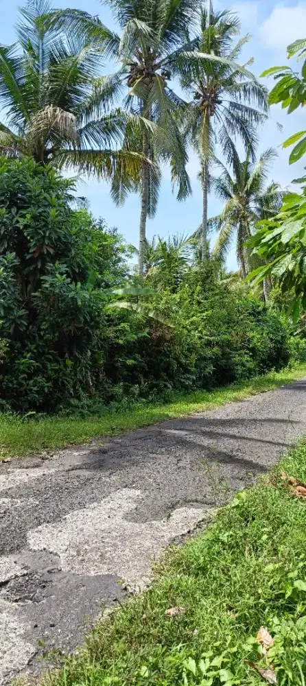 Dijual Tanah Kebun
