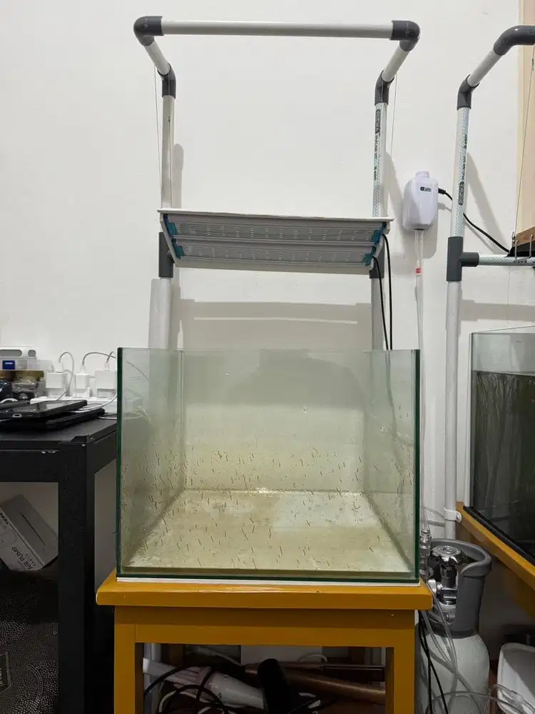 Aquarium 40x40x30 plus meja dan lampu