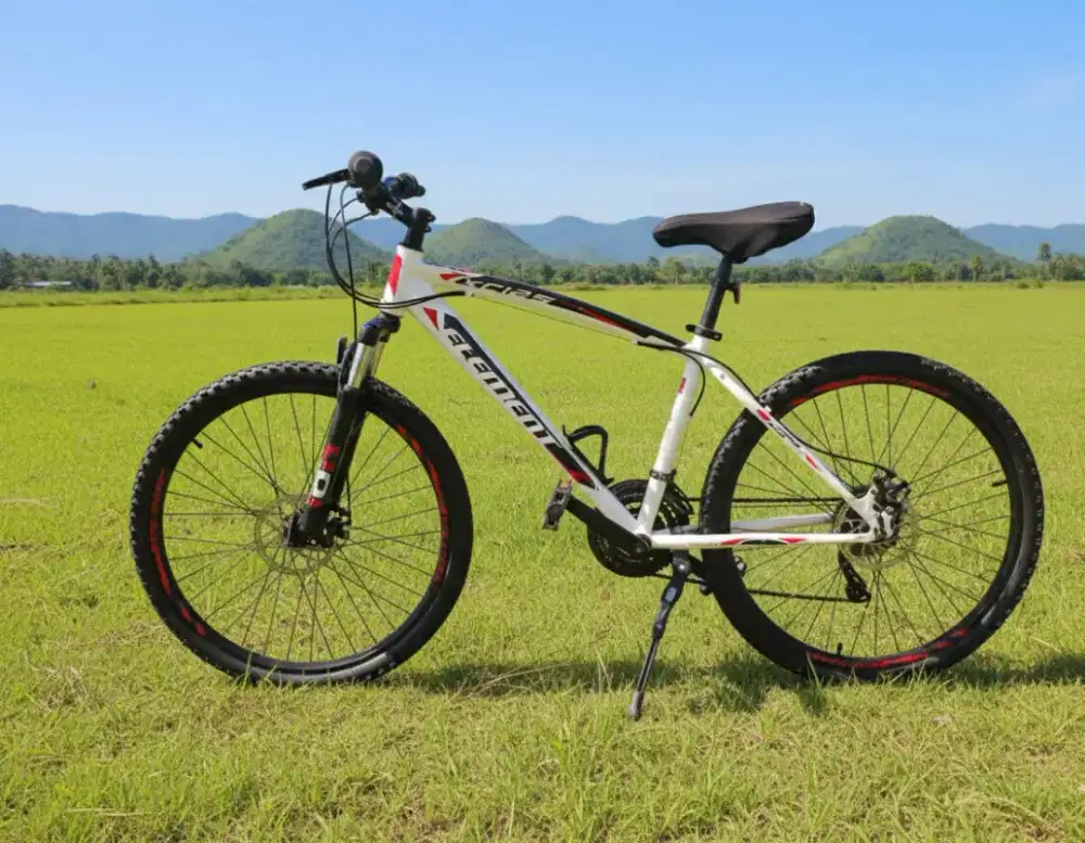 Sepeda Gunung Elemen XC Siap Gowes Bisa COD