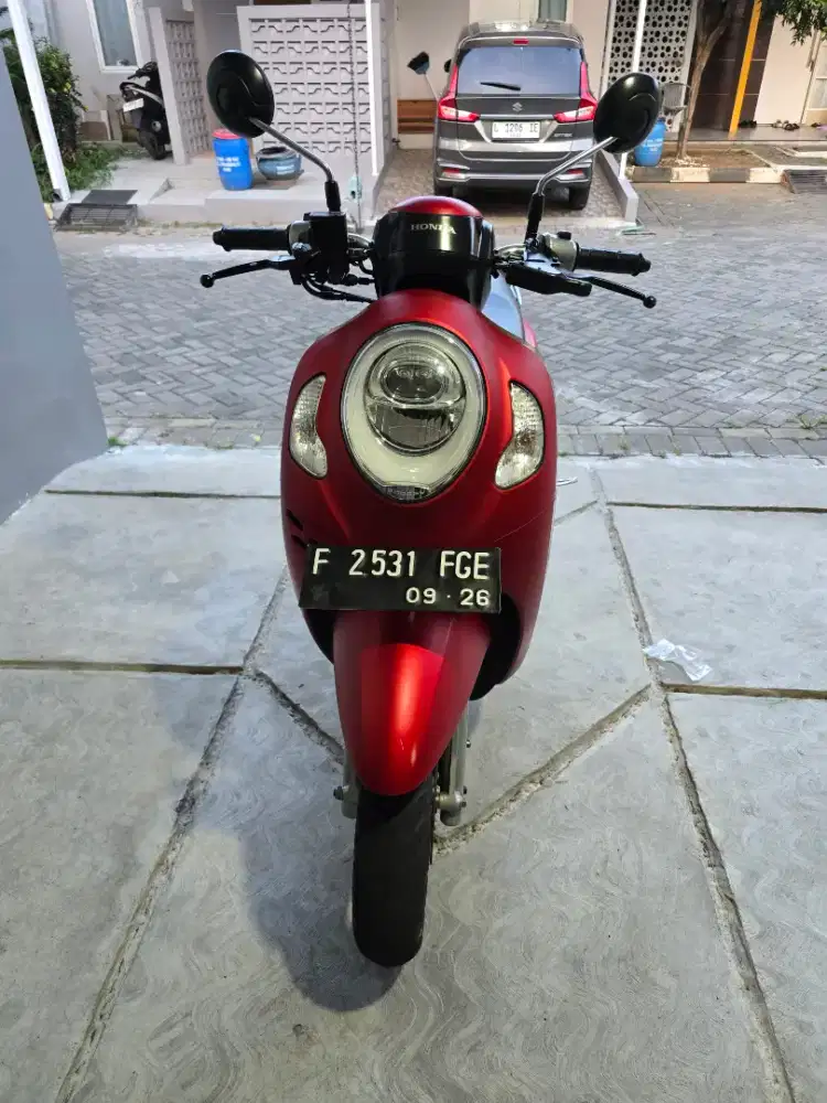 Scoopy stylis 2021