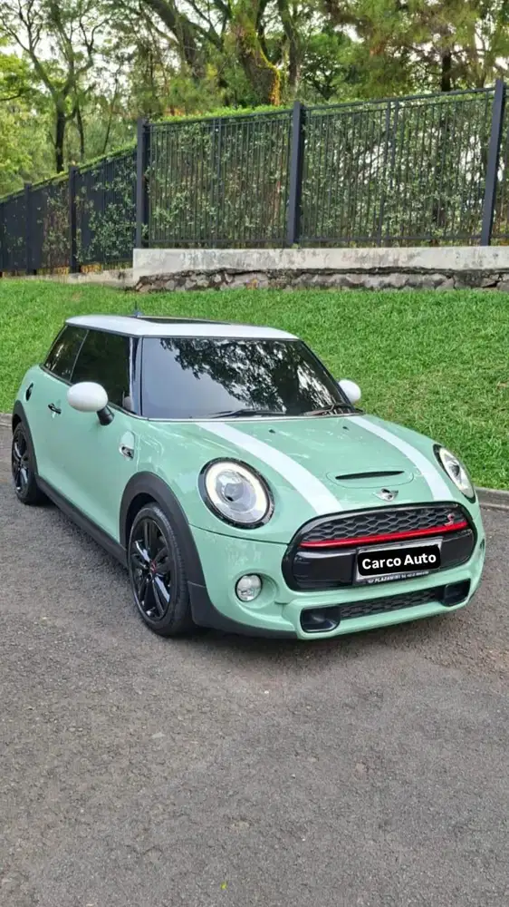 CARCO AUTO Mini Cooper S 2.0 JCW Package 2019 Record