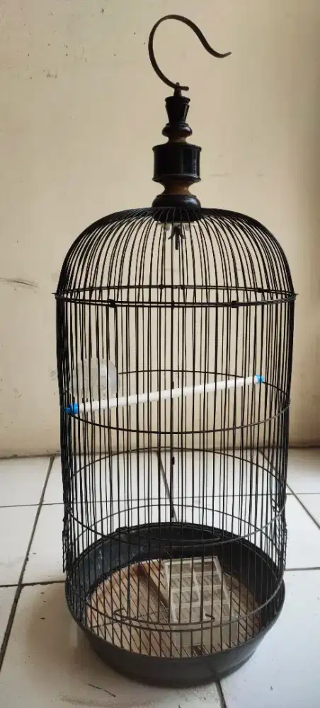 Kandang Burung Lovebird