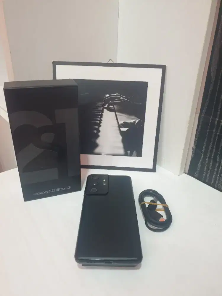 Samsung s21 ultra 12/256 sein