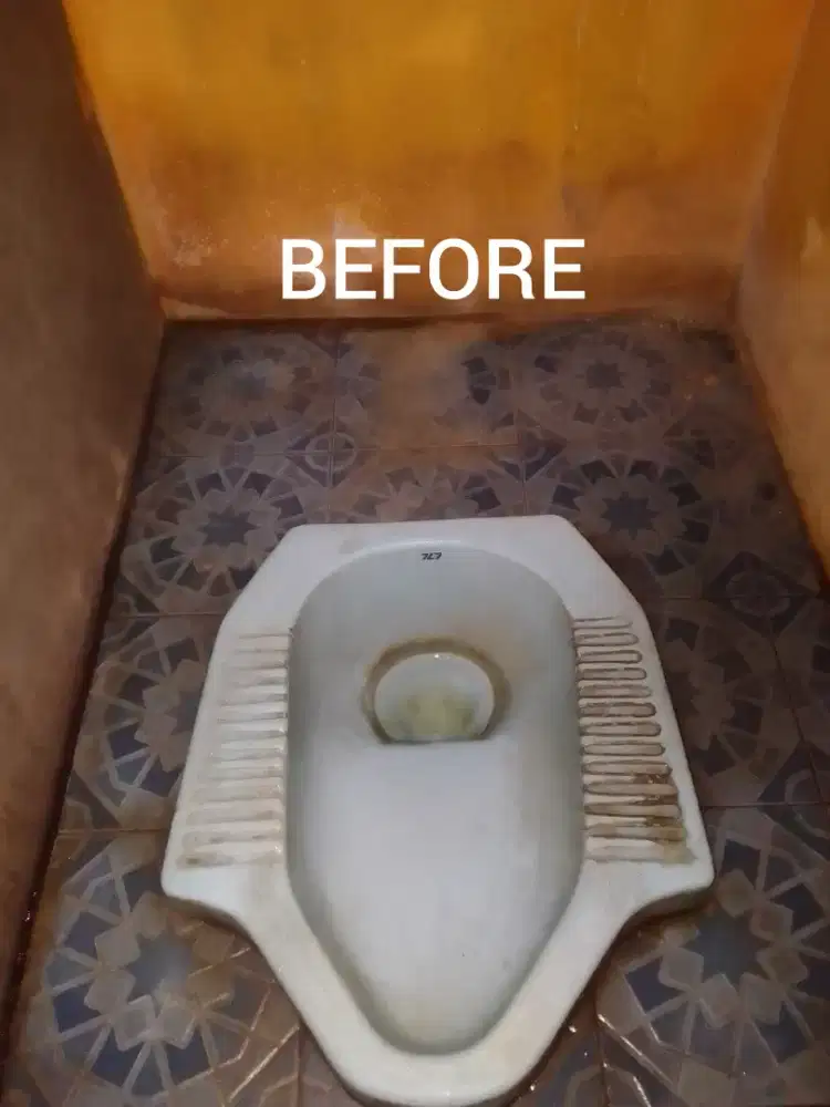 Jasa pembersih Closed/wc