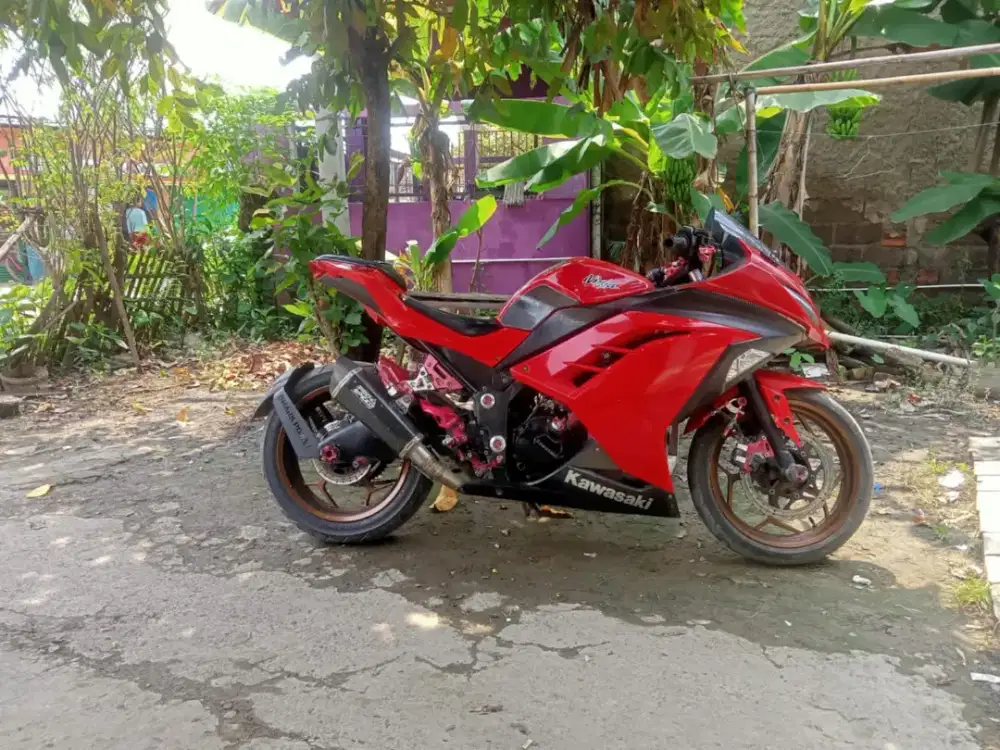Kawasaki Ninja fi 250