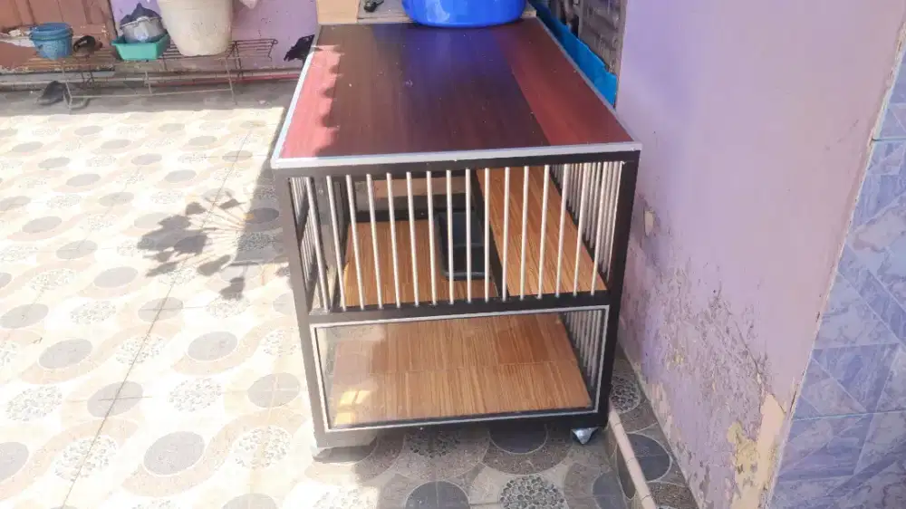kandang kucing bekas rasa baru