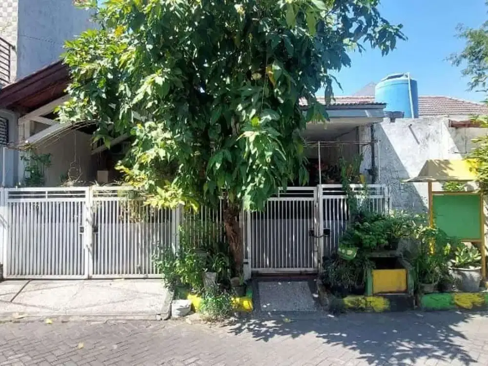 JUAL HARGA BAWAH TANAH RUMAH PENJARINGAN SARI SURABAYA (Tjin2Area)