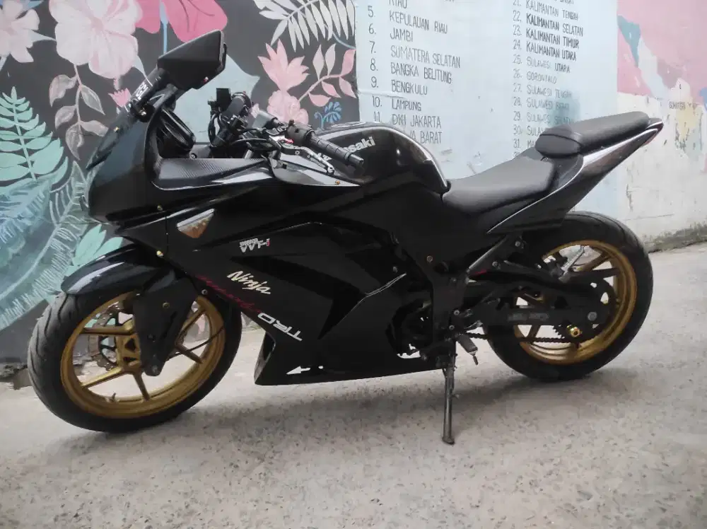 Kawasaki Ninja 250 karbu simpanan