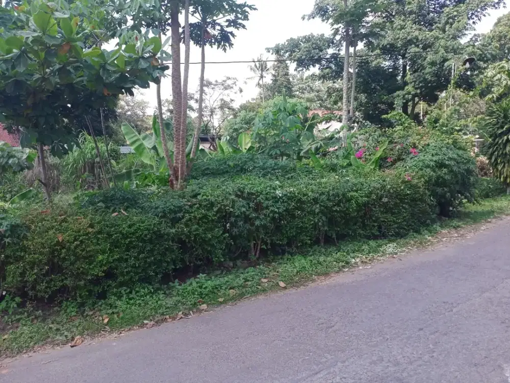 Tanah di Jl. Pamungkas Sleman Untuk Hunian