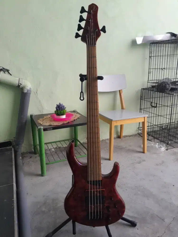 Bass aktive 5 senar