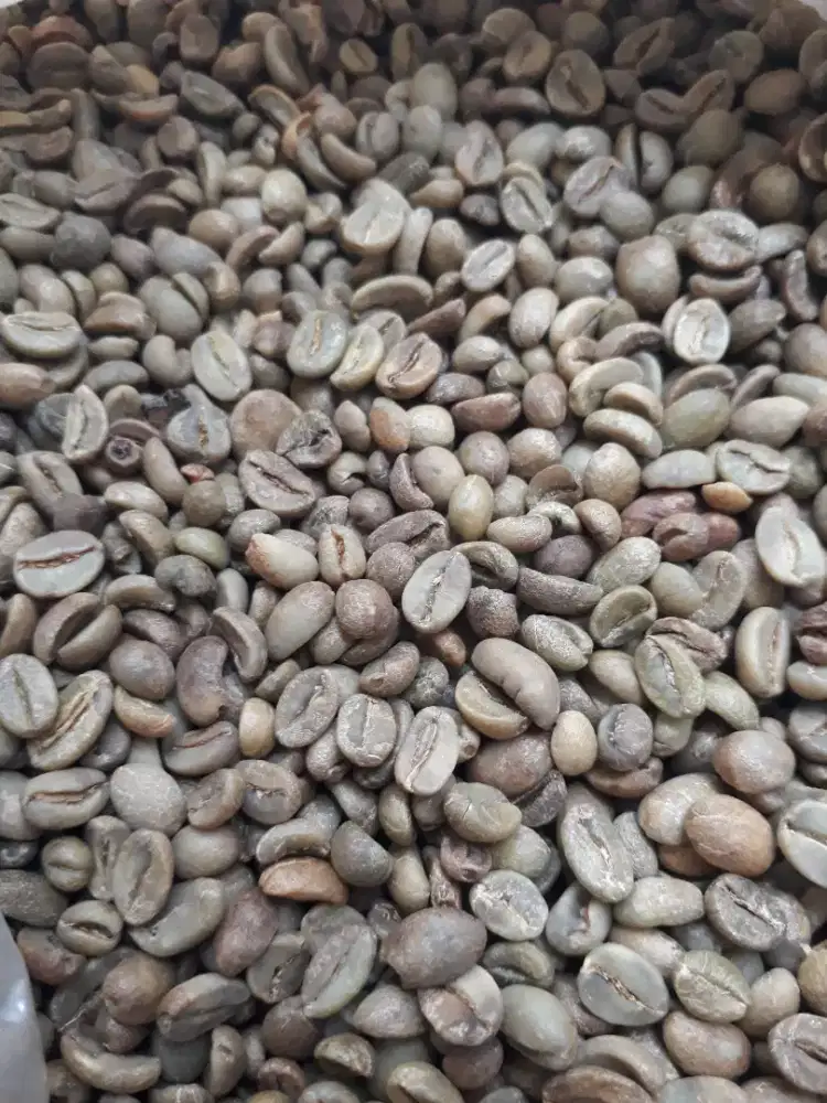 BIJI KOPI ARABIKA