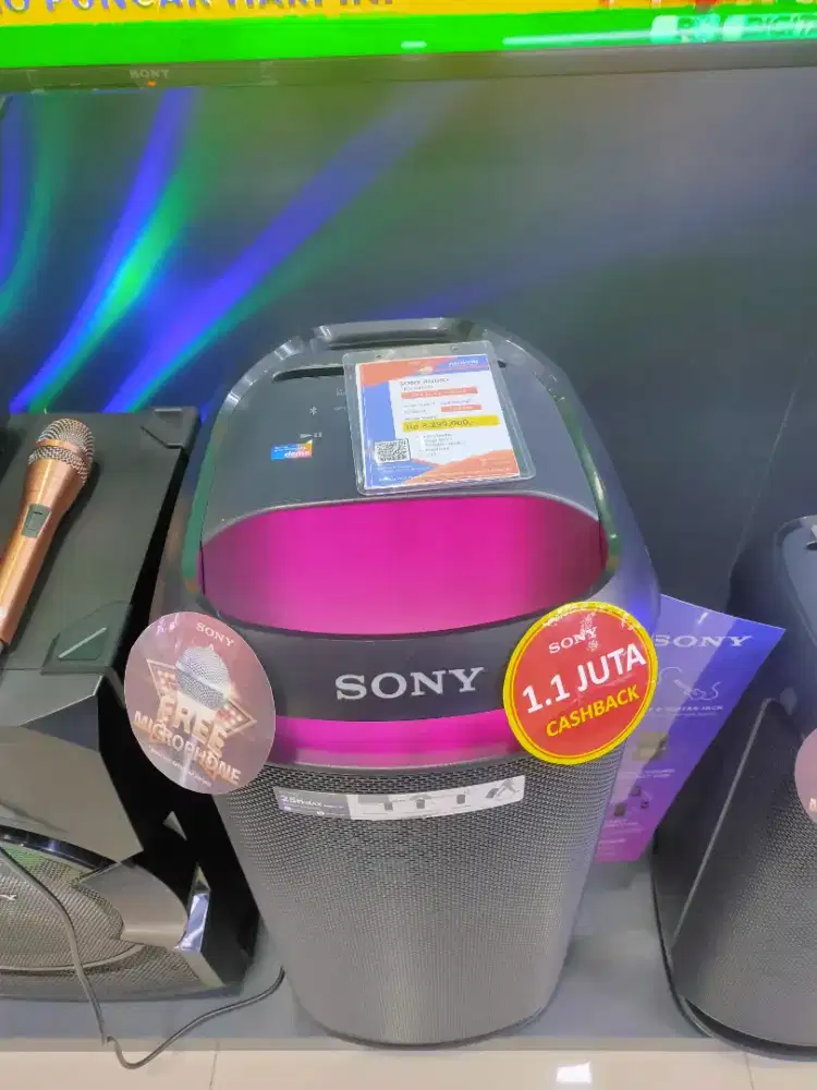 sony audio SRS XV800