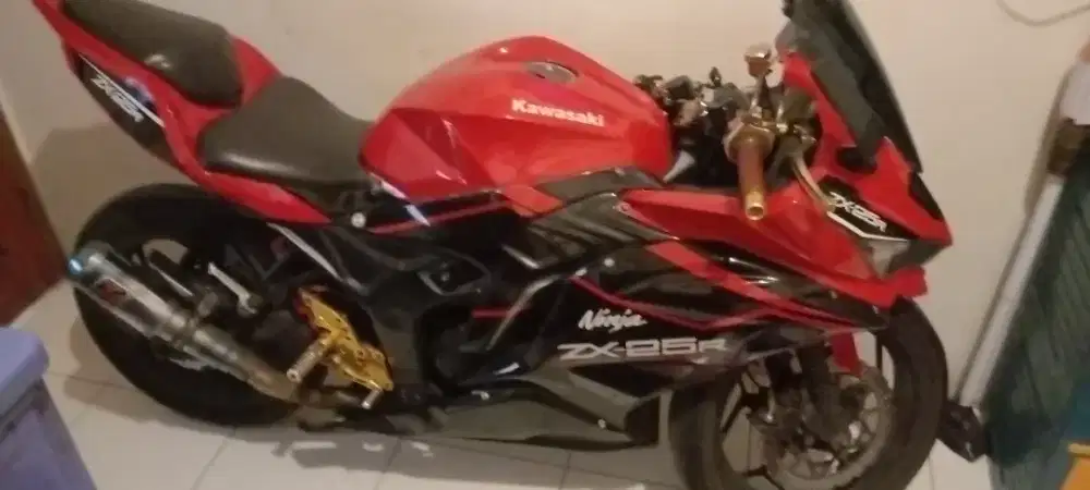 Ninja 250 mono 1 silinder