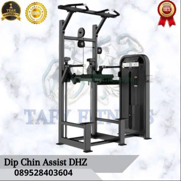 Dip Chin Assist Machine DHZ E3009A Original