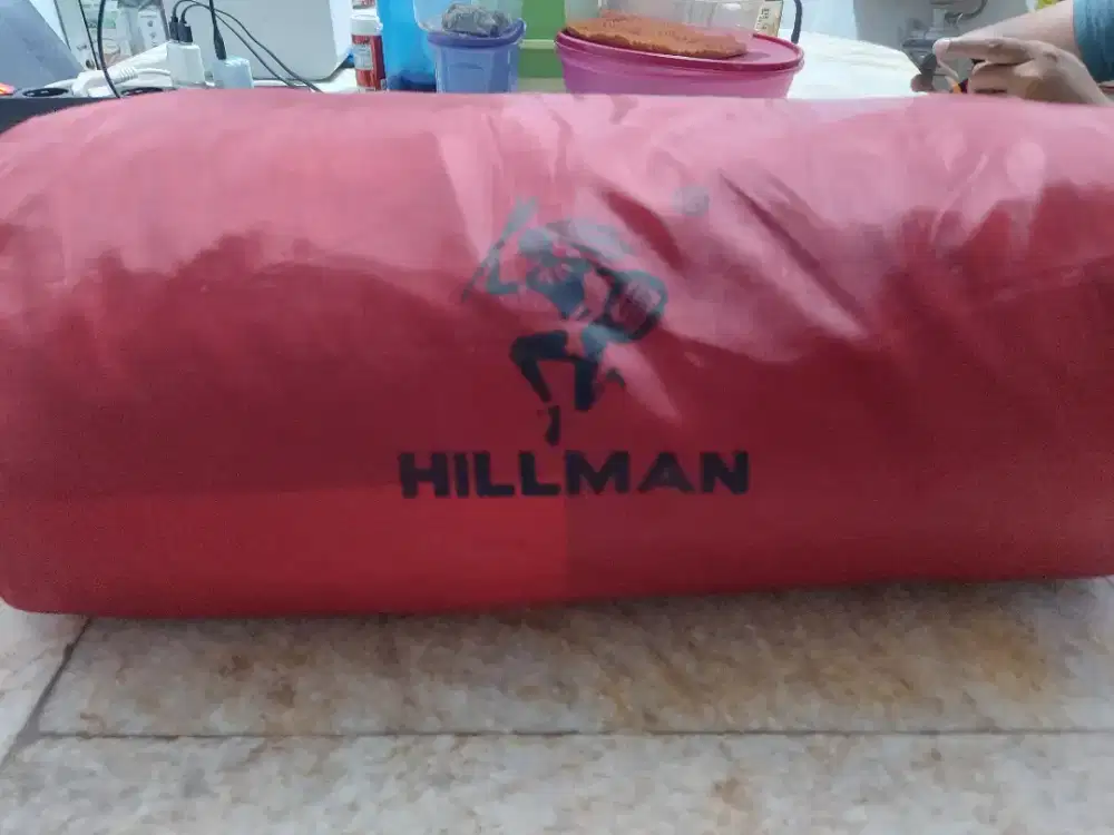 Hillman EarlyBird Smart