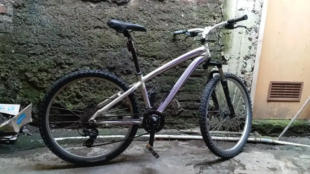 Sepeda Polygon Cleo