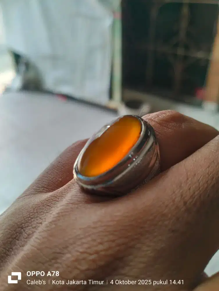 Harga nett Golden Raflesia uk 7 MONEL special custom