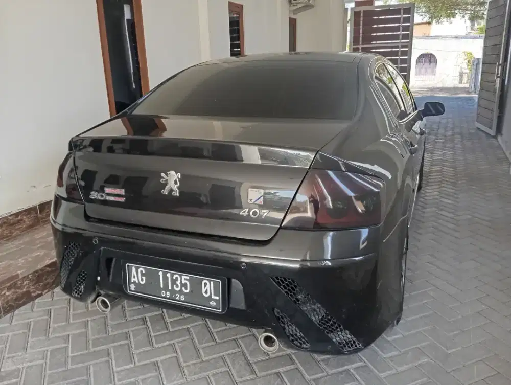 peugeot 407 terawat