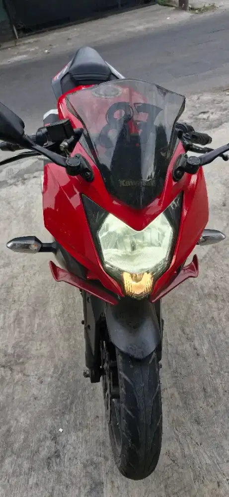 Ninja Mono 250 SL 2019