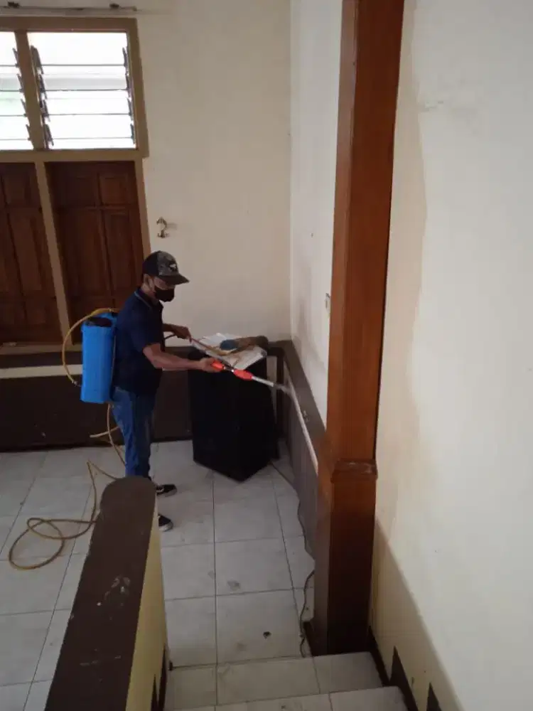 Jasa anti rayap, pest control, basmi hama rayap bergaransi