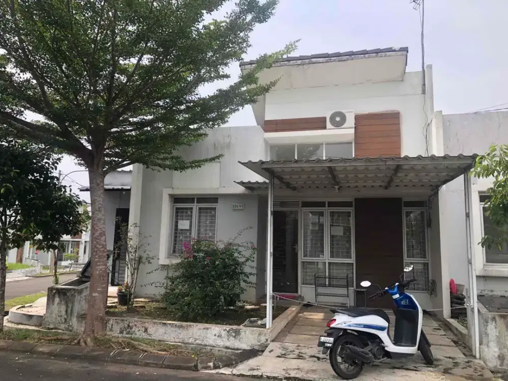 Rumah Premium, Cantik, Besar, dan Siap Huni Dijual Harga Bawah Pasar