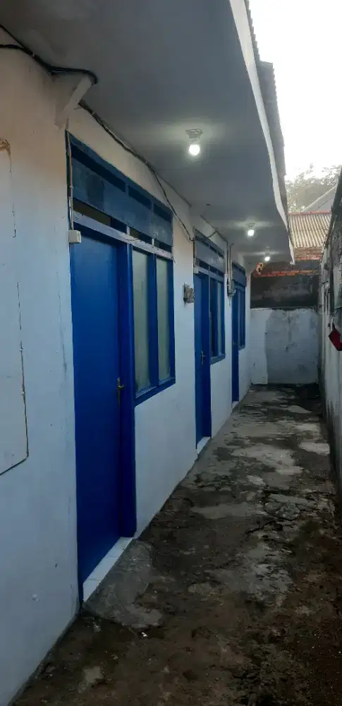 Disewakan kontrakan Petak