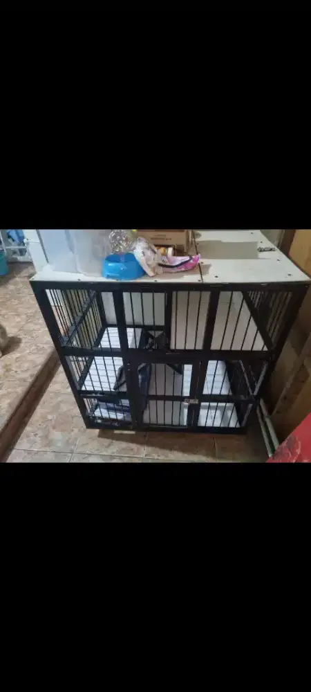 kandang kucing 2 tingkat
