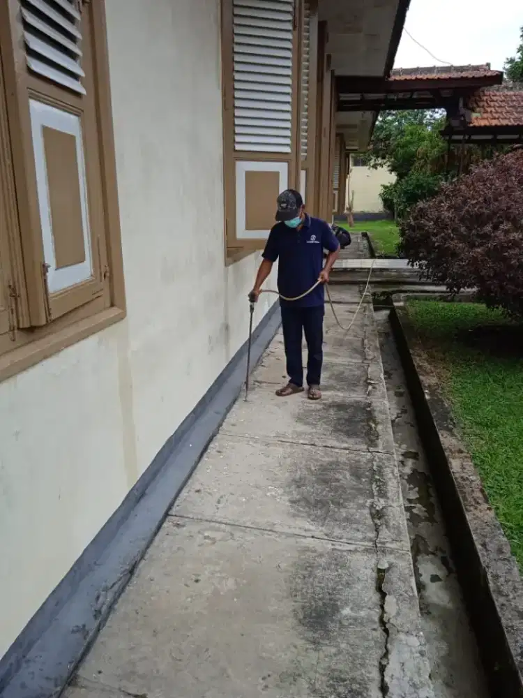 Anti rayap bergaransi
