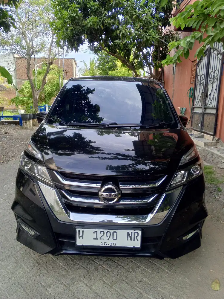 Serena HWS two ton matic 2019