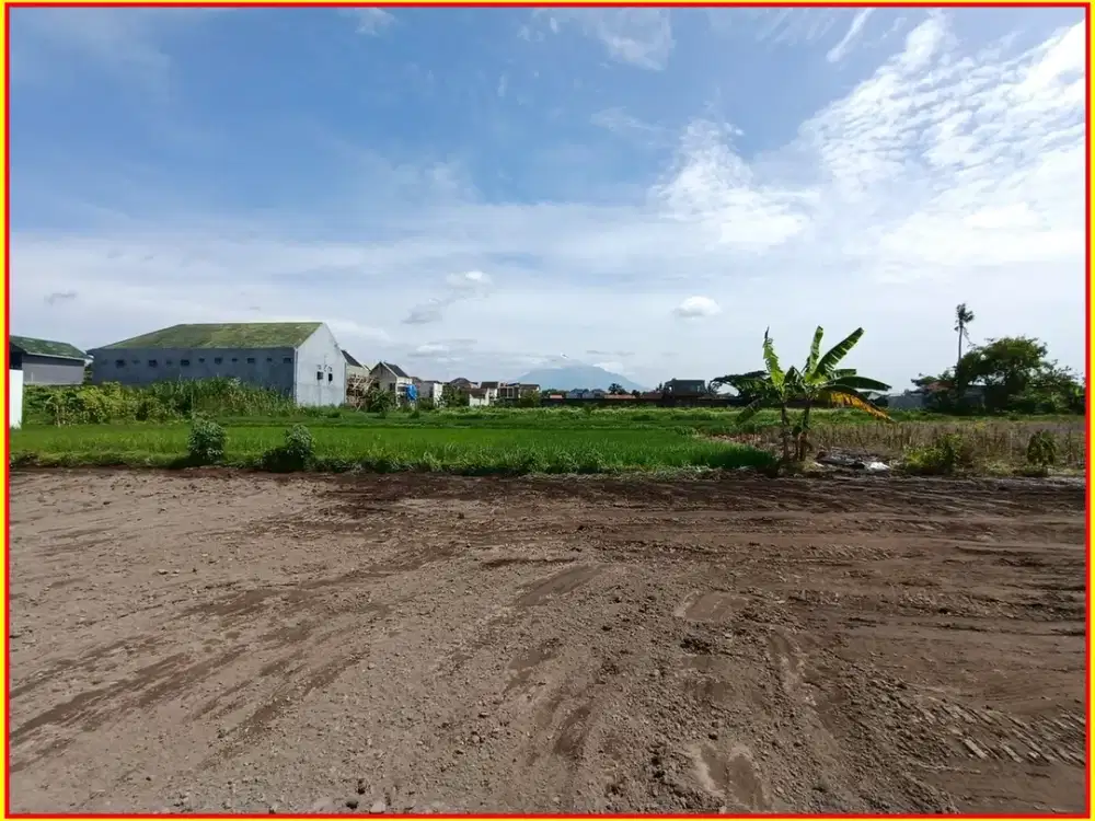 Tanah di Lojajar Palagan Sleman : SHM View Merapi