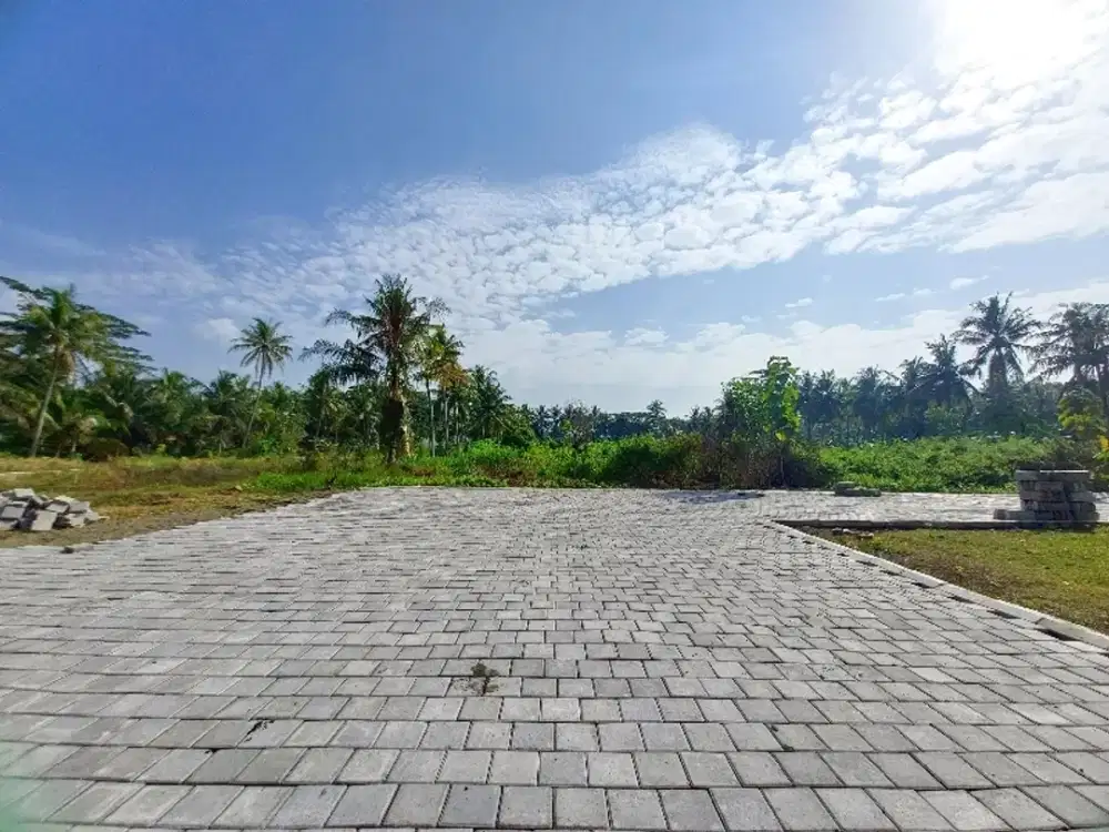 Tanah Dijual Tawangsari Dekat Kampus UAD 4 Kulon Progo