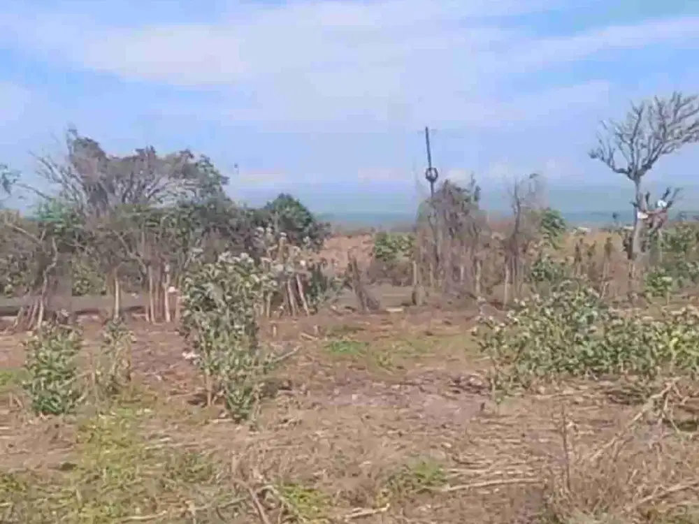 Di jual Tanah pinggir  pantai Hu'u Dompu NTB