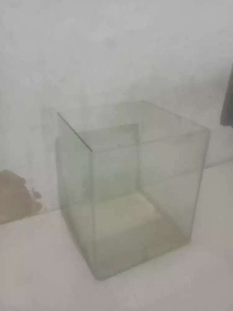 aquarium bekas ikan