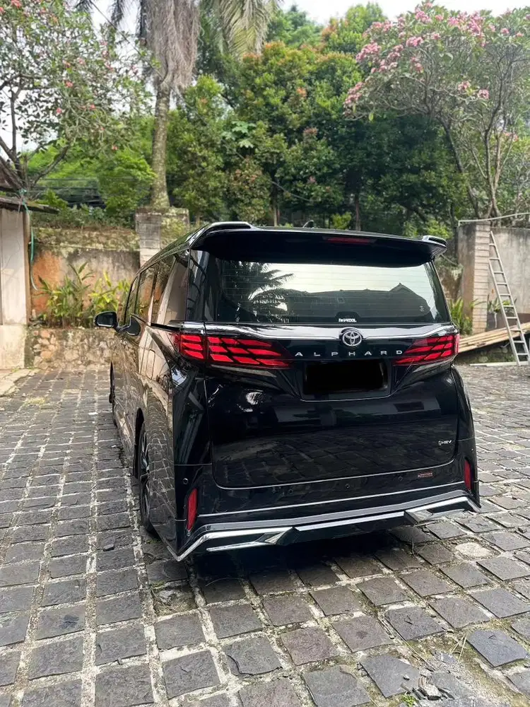 Alphard hybrid modelista
