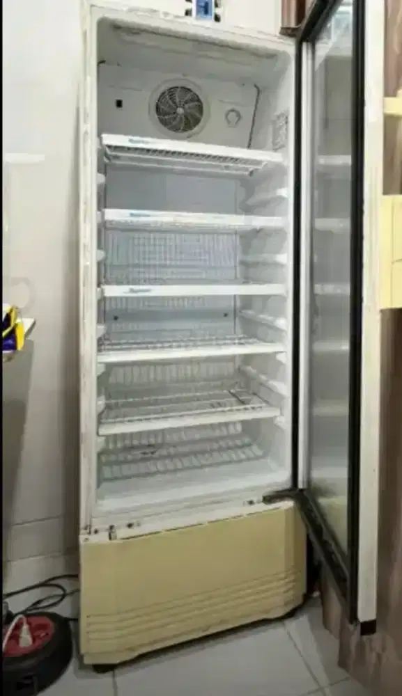 Showcase Polytron