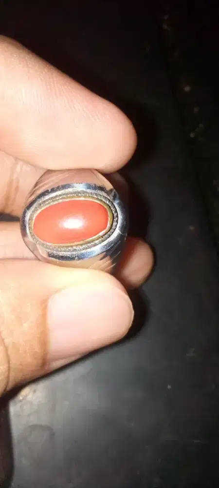 batu red coral marjan mediterania