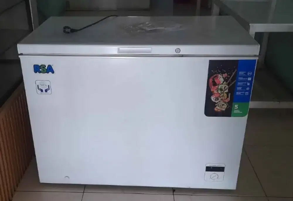 Freezer Box RSA 318 Liter