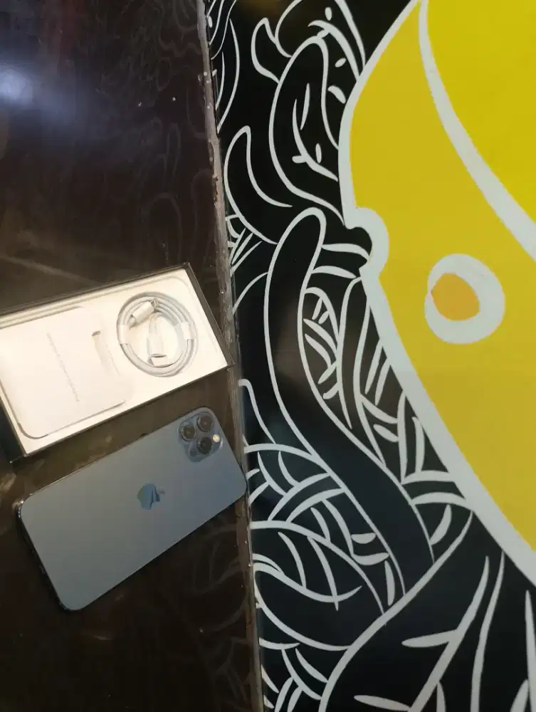 Iphone 11 pro max 256gb layar 6.4 inchi